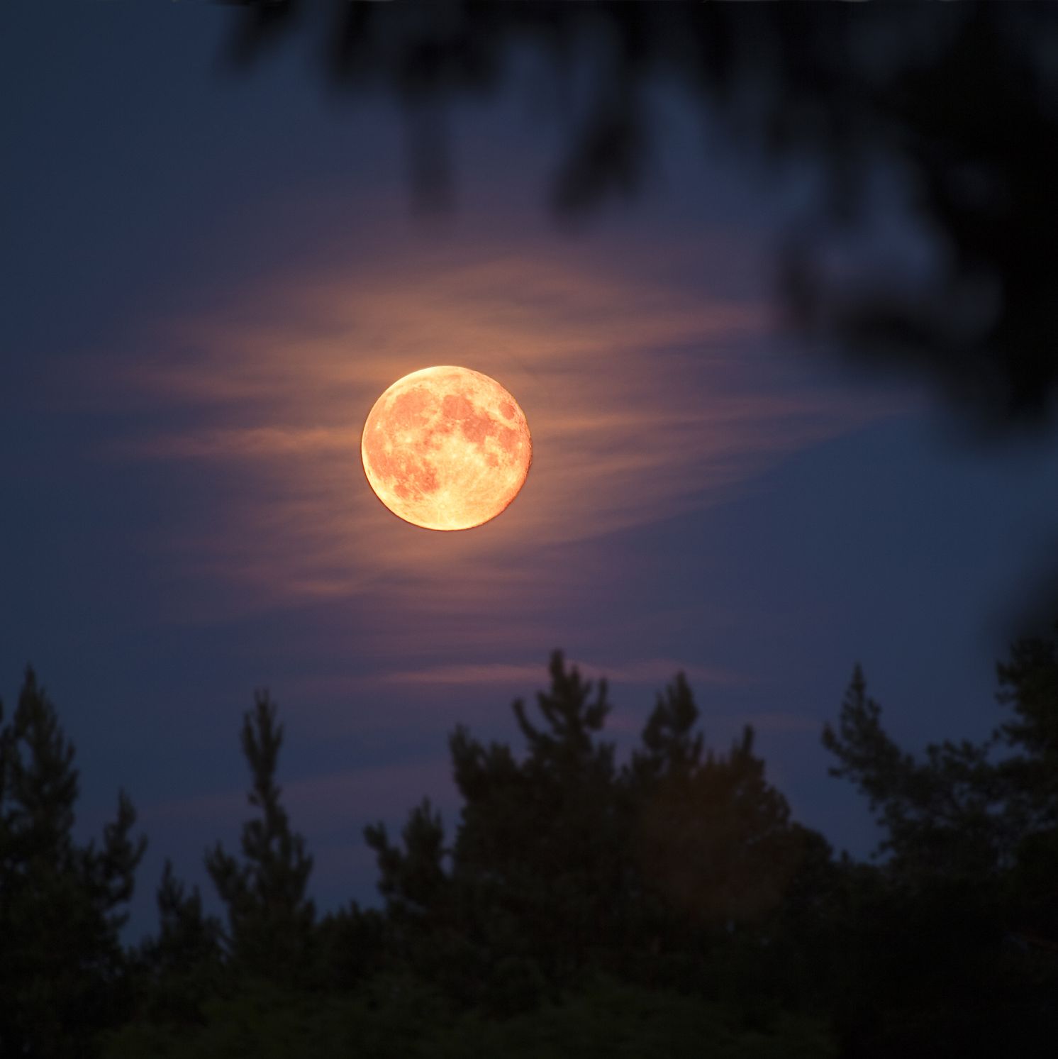luna plina